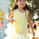 Perle de Chantilly Dress