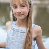Dusty Blue Carousel Layered Dress