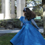 Cobalt Belle Gown