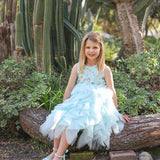 Ballet in Blue Dress