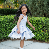 The Dusty Blue Carousel Layered Dress