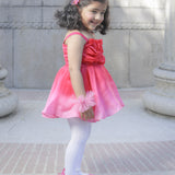 Roseblush Dress