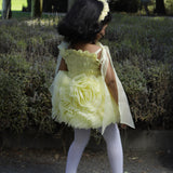 Buttercup Rose Dress