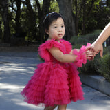 Magenta Muse Dress