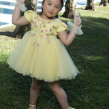 Buttercup Garden Dress