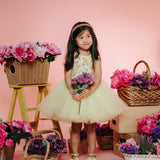 Buttercup Garden Dress