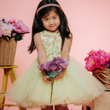 Buttercup Garden Dress